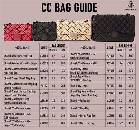 chanel 19 flag bag|Chanel bag size chart.